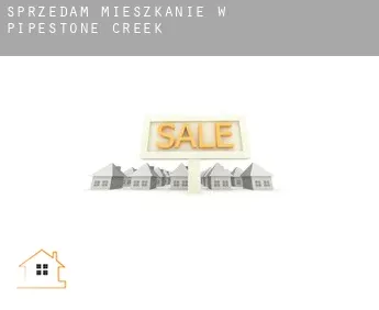 Sprzedam mieszkanie w  Pipestone Creek