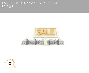 Tanie mieszkania w  Pine Ridge
