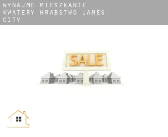 Wynajmę mieszkanie kwatery  Hrabstwo James City