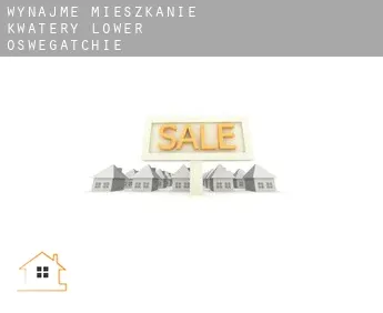 Wynajmę mieszkanie kwatery  Lower Oswegatchie