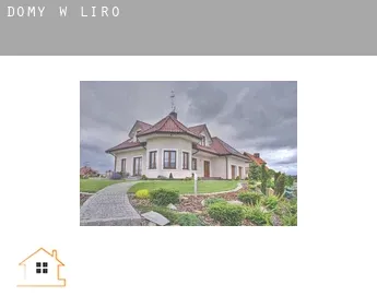 Domy w  Liro