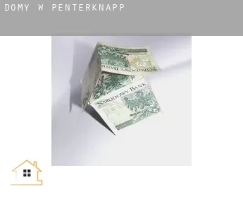 Domy w  Penterknapp