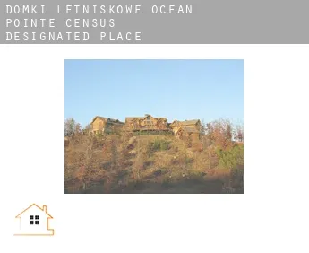 Domki letniskowe  Ocean Pointe
