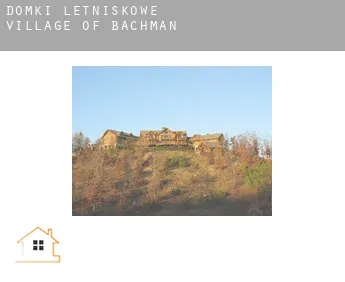 Domki letniskowe  Village of Bachman