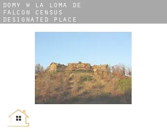 Domy w  La Loma de Falcon