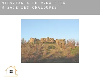 Mieszkania do wynajęcia w  Baie-des-Chaloupes