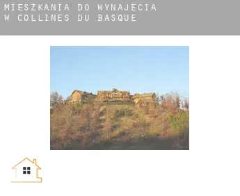 Mieszkania do wynajęcia w  Collines-du-Basque