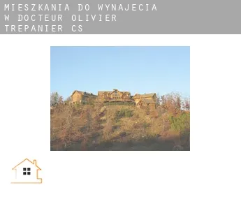 Mieszkania do wynajęcia w  Docteur-Olivier-Trépanier (census area)