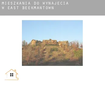 Mieszkania do wynajęcia w  East Beekmantown