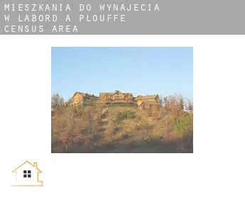 Mieszkania do wynajęcia w  L'Abord-à-Plouffe (census area)