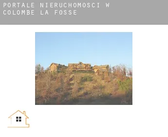 Portale nieruchomości w  Colombé-la-Fosse