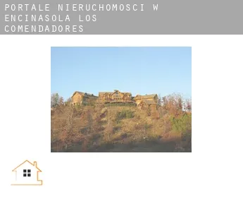 Portale nieruchomości w  Encinasola de los Comendadores