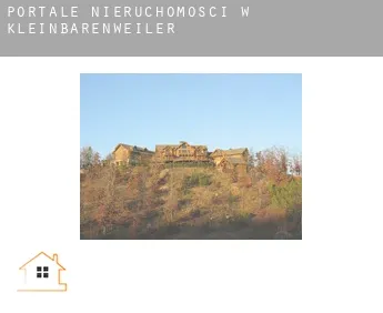 Portale nieruchomości w  Kleinbärenweiler