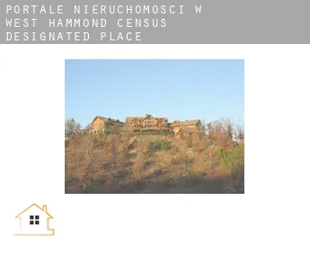 Portale nieruchomości w  West Hammond