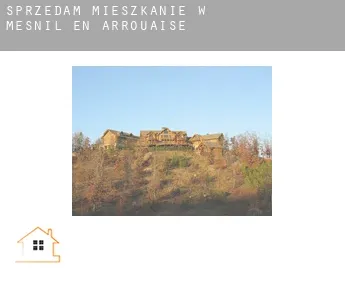 Sprzedam mieszkanie w  Mesnil-en-Arrouaise