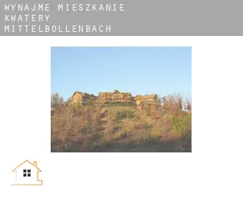 Wynajmę mieszkanie kwatery  Mittelbollenbach