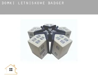 Domki letniskowe  Badger