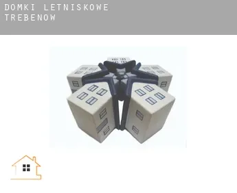 Domki letniskowe  Trebenow