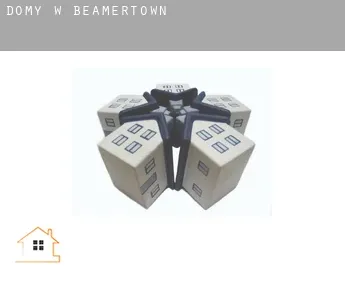 Domy w  Beamertown