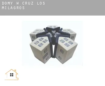 Domy w  Cruz de los Milagros