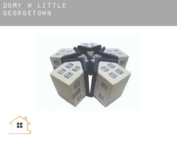 Domy w Little Georgetown