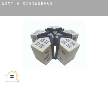 Domy w  Ochsenbach