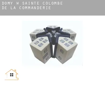 Domy w  Sainte-Colombe-de-la-Commanderie