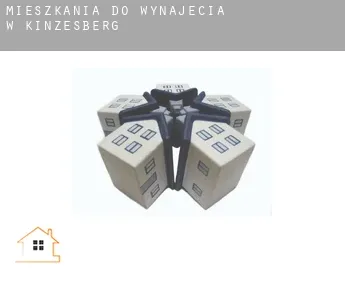 Mieszkania do wynajęcia w  Kinzesberg
