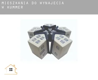 Mieszkania do wynajęcia w  Kummer