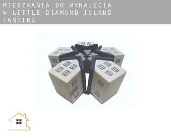 Mieszkania do wynajęcia w  Little Diamond Island Landing