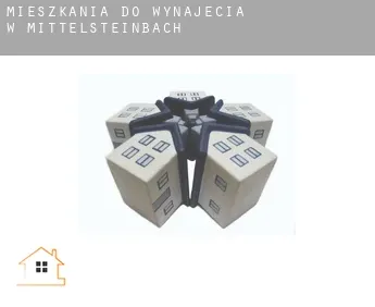 Mieszkania do wynajęcia w  Mittelsteinbach