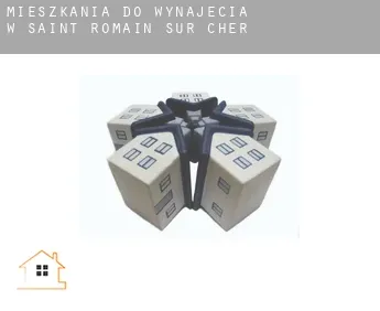 Mieszkania do wynajęcia w  Saint-Romain-sur-Cher