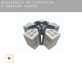 Mieszkania do wynajęcia w  Webster Square