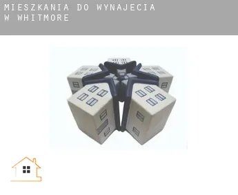 Mieszkania do wynajęcia w  Whitmore