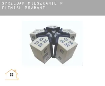 Sprzedam mieszkanie w  Flemish Brabant Province