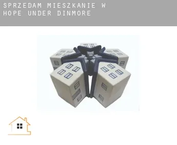Sprzedam mieszkanie w  Hope under Dinmore