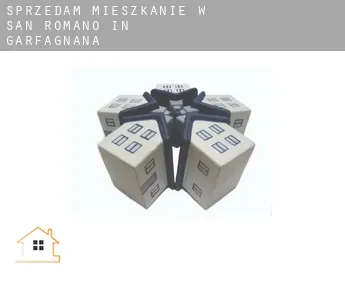 Sprzedam mieszkanie w  San Romano in Garfagnana