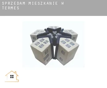 Sprzedam mieszkanie w  Termes