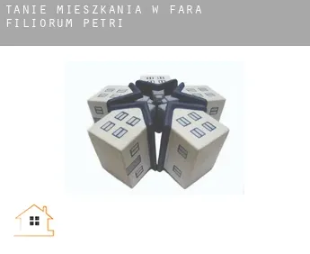 Tanie mieszkania w  Fara Filiorum Petri