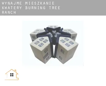 Wynajmę mieszkanie kwatery  Burning Tree Ranch