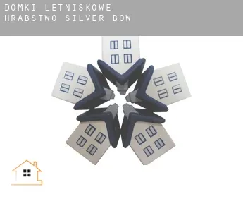 Domki letniskowe  Hrabstwo Silver Bow