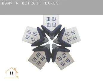 Domy w  Detroit Lakes