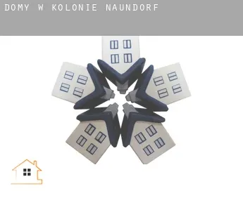 Domy w  Kolonie Naundorf