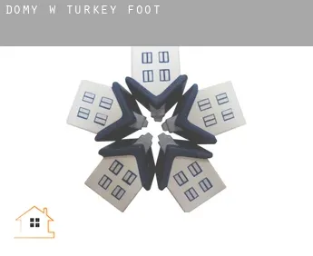 Domy w  Turkey Foot
