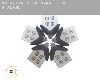 Mieszkania do wynajęcia w  Alamo