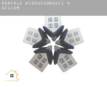 Portale nieruchomości w  Gillum