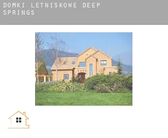 Domki letniskowe  Deep Springs