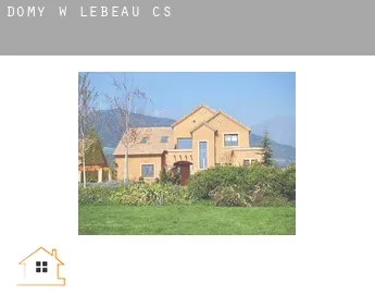 Domy w  Lebeau (census area)