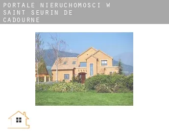 Portale nieruchomości w  Saint-Seurin-de-Cadourne