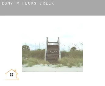 Domy w  Pecks Creek